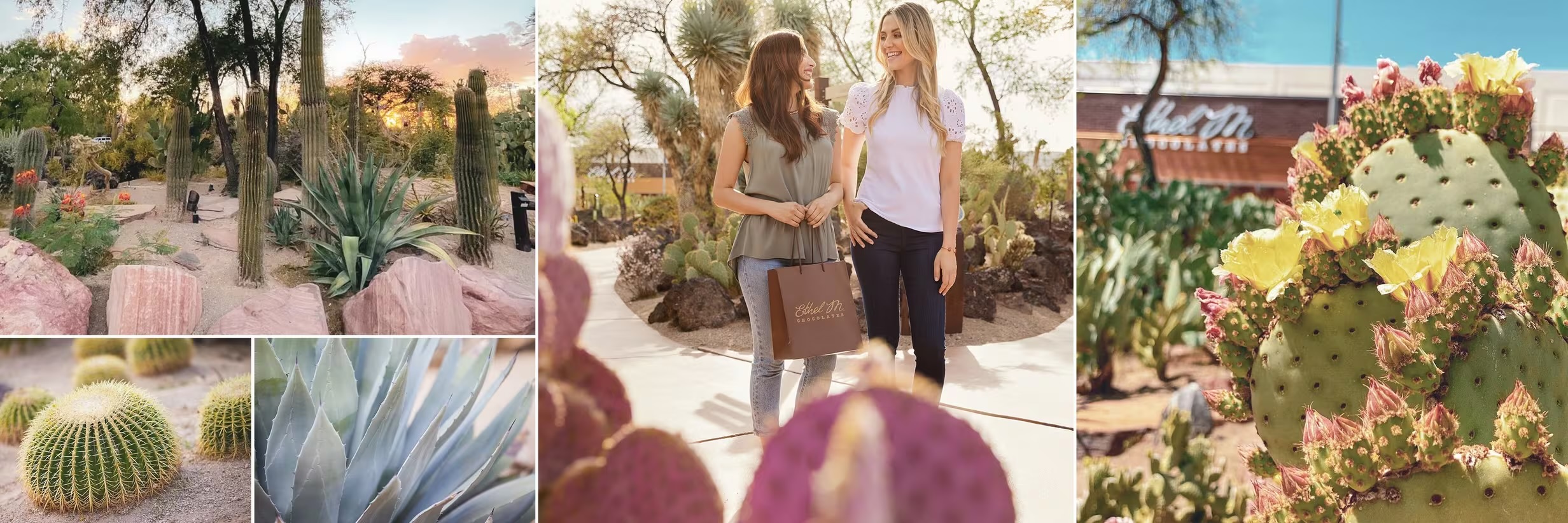 Ethel M Chocolate Factory 