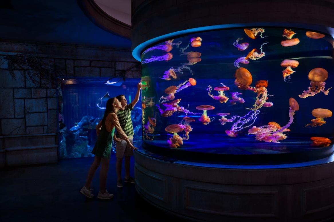 Shark Reef Aquarium  image 2