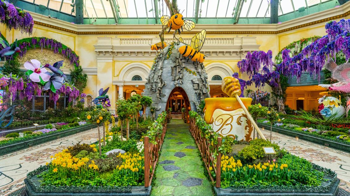 Bellagio Conservatory & Botani image 4