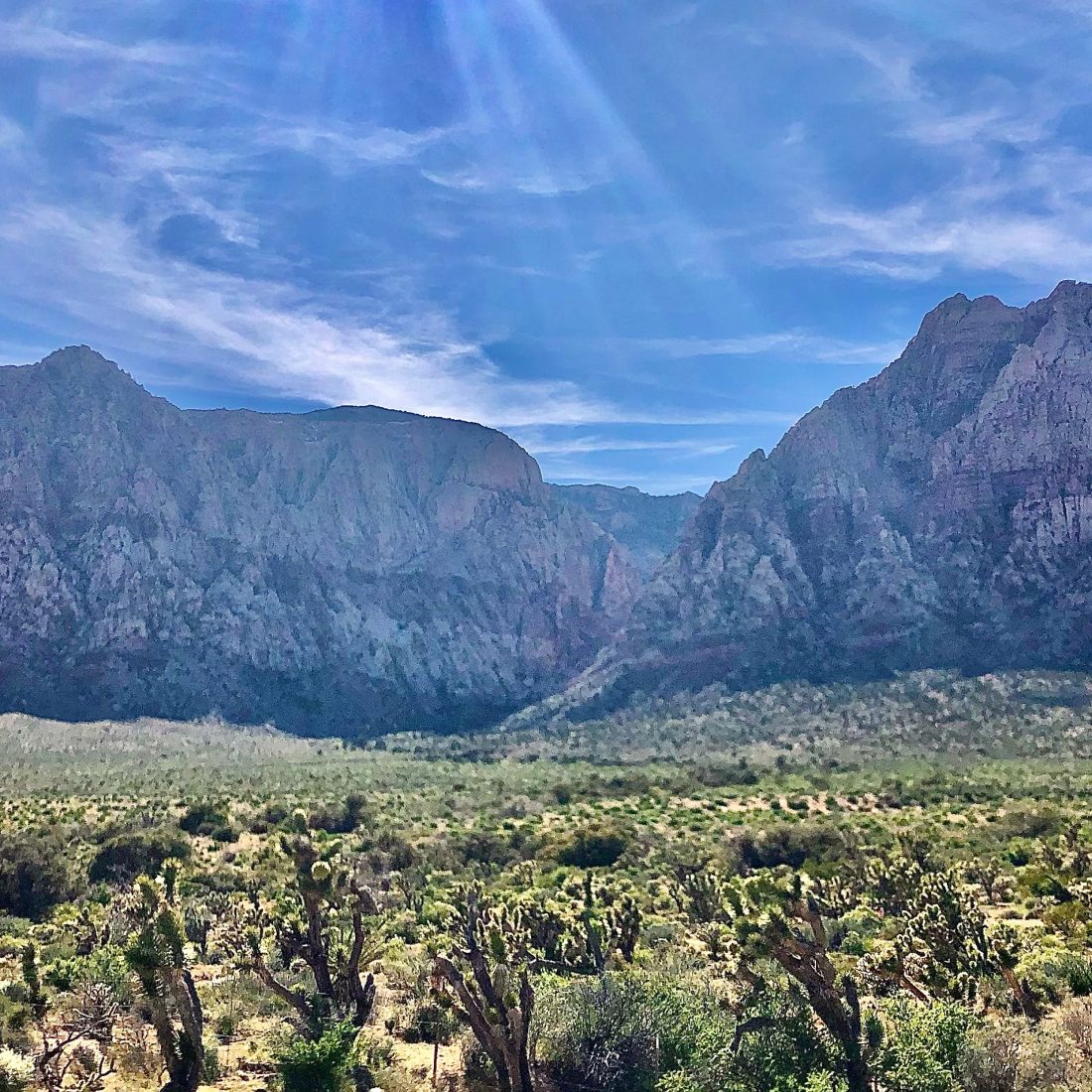 Red Rock Canyon  image 3