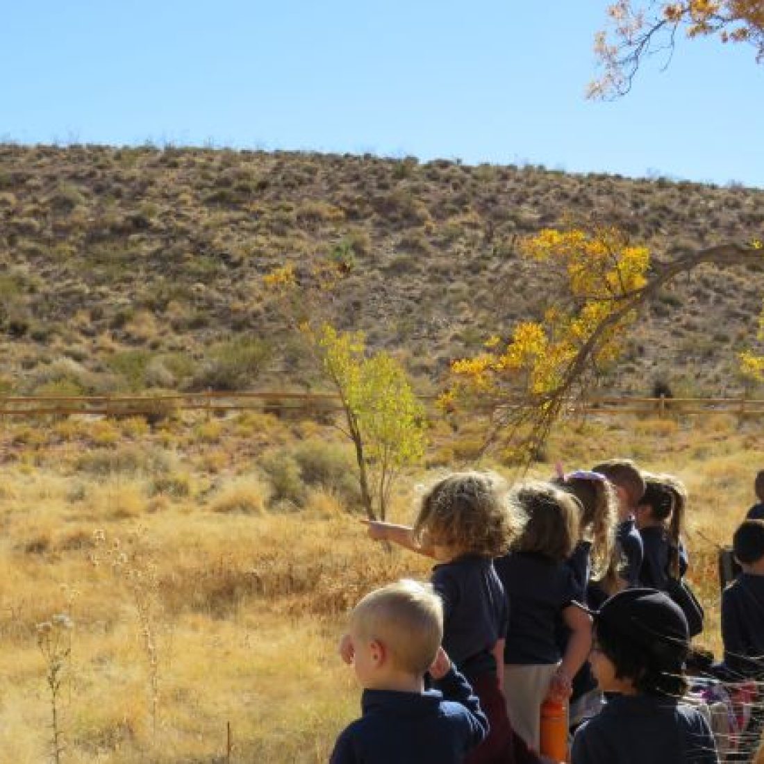 Red Rock Canyon  image 4