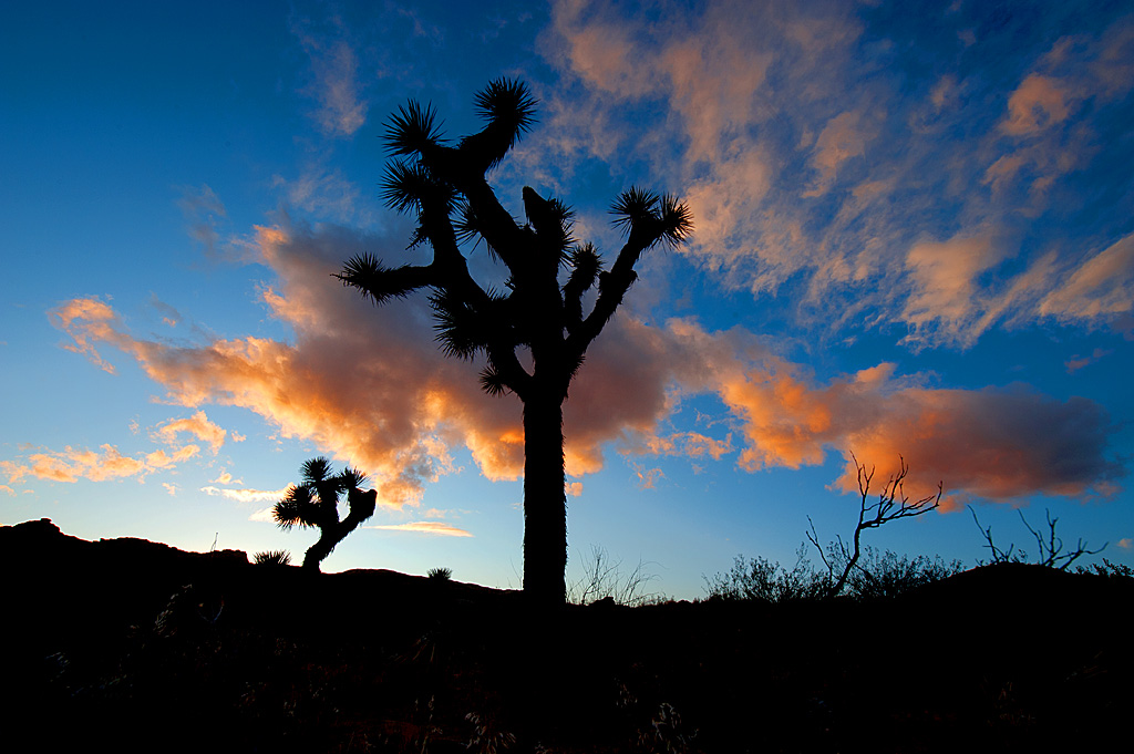 Red Rock Canyon  image 5